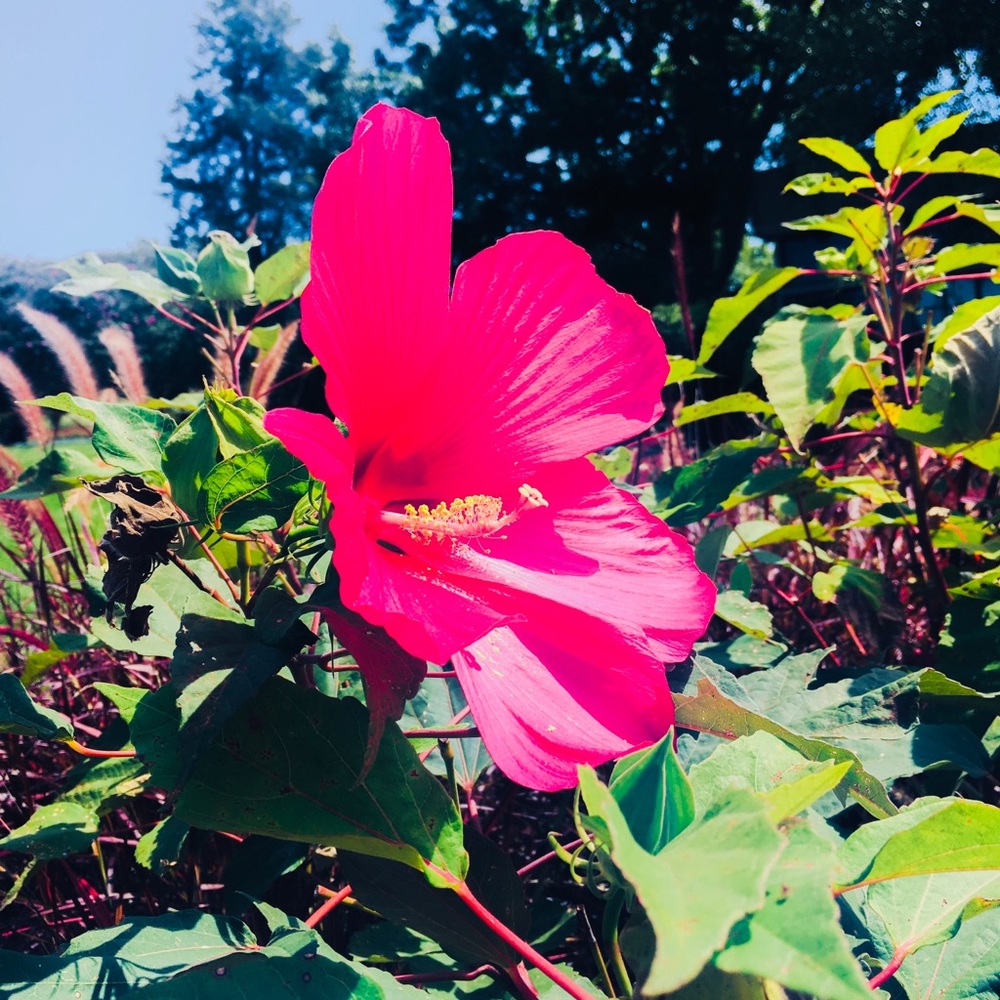 Meet your Posher, Gloria